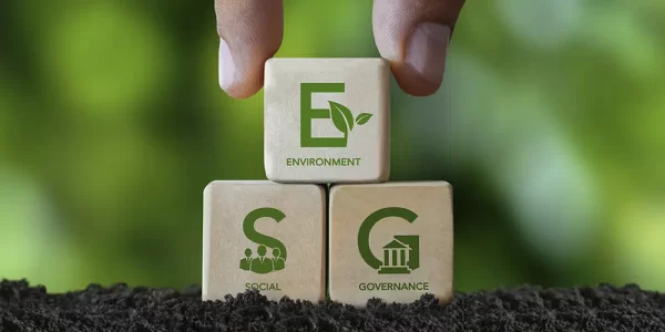 Sustainability and ESG